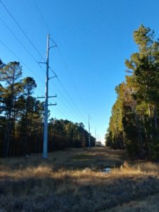 Summerville – Hampton 115 kV Transmission Line