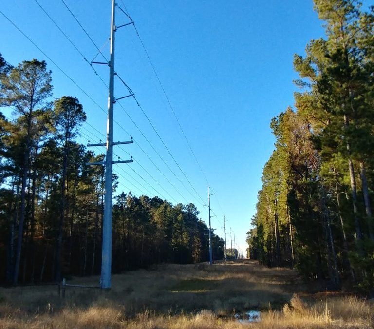 Summerville – Hampton 115 kV Transmission Line