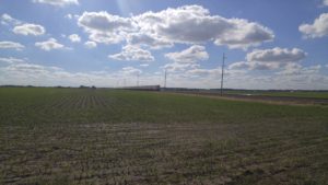 Prairie Power, Inc. – Jacksonville to Winchester 138 kV Storm Hardening Transmission Design
