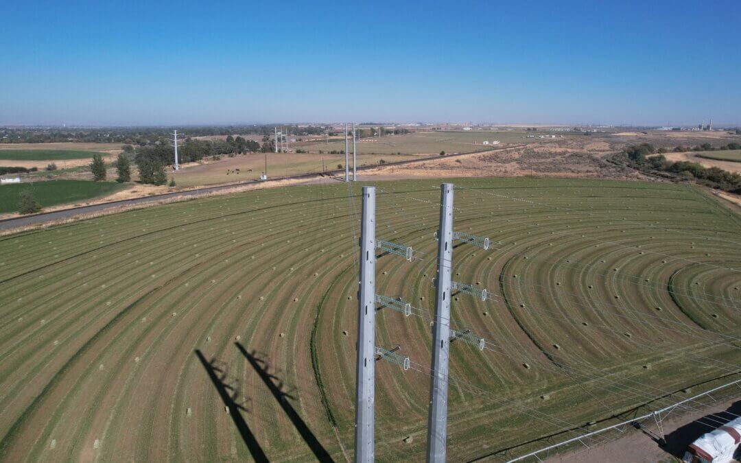 Cottonwood – Kelli Blvd 230 kV Transmission Line